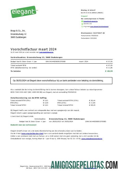 imprimível Bélgica Elegante Business Utility Bill Word E Modelo PDF